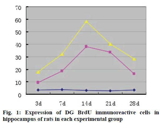 IJPS-immunoreactive