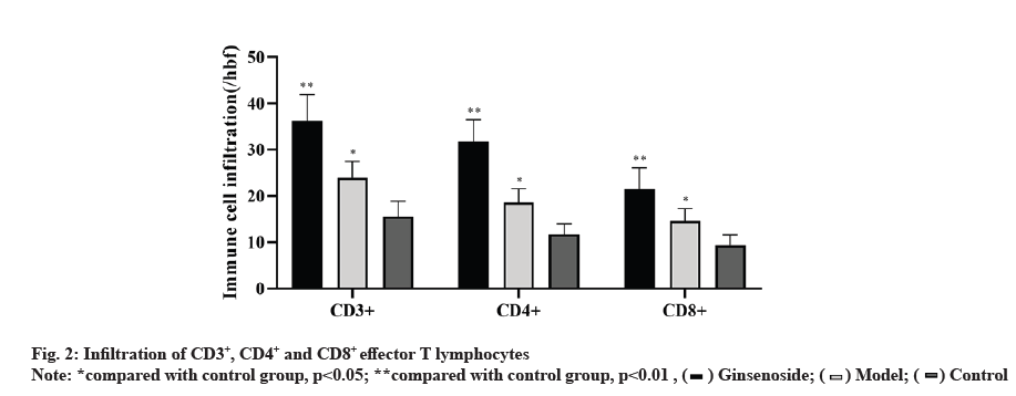 IJPS-infiltration