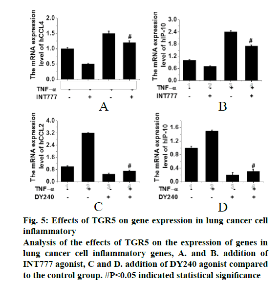 IJPS-inflammatory