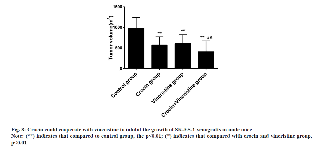 IJPS-inhibit