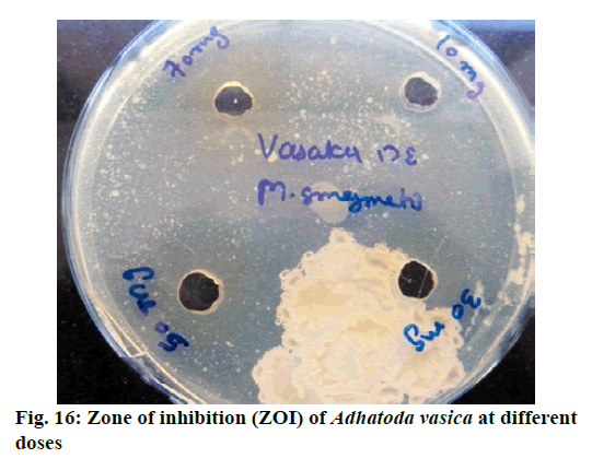 IJPS-inhibition