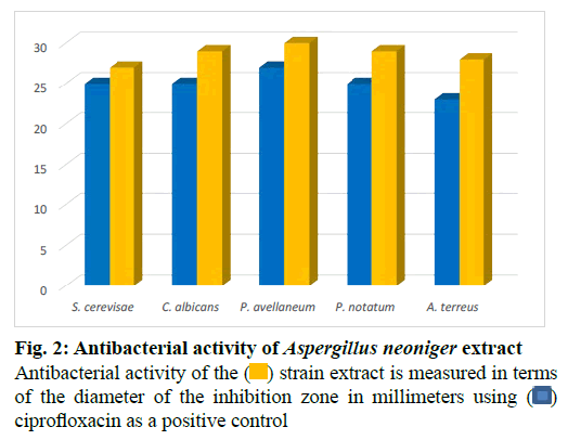 IJPS-inhibition