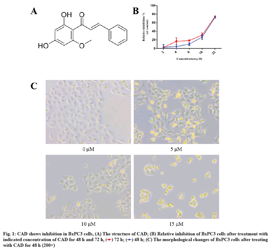 IJPS-inhibition