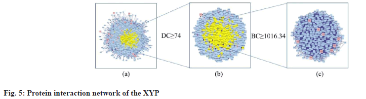 IJPS-interaction