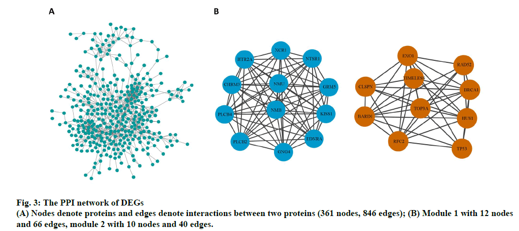 IJPS-interactions