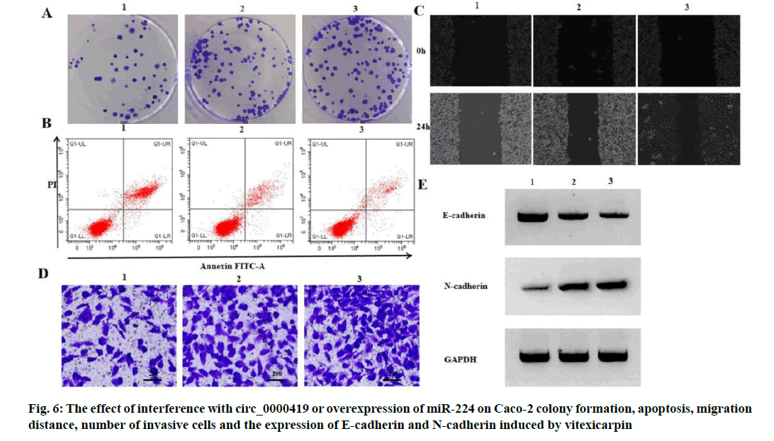 IJPS-invasive