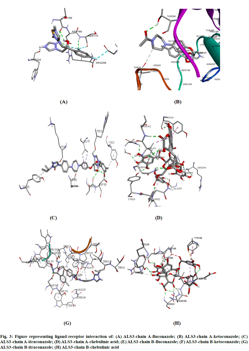 IJPS-itraconazole