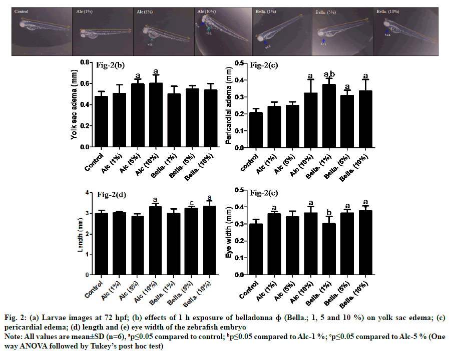 IJPS-larvae