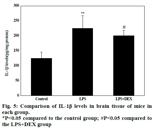 IJPS-levels