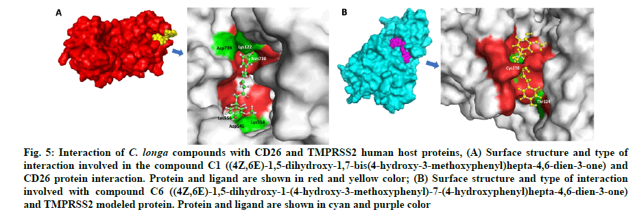 IJPS-ligand