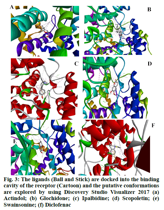 IJPS-ligands