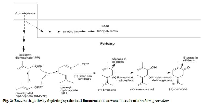 IJPS-limonene