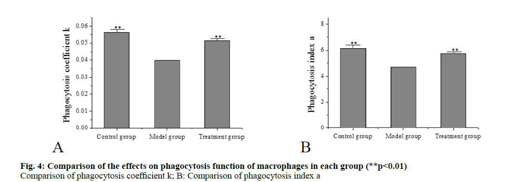 IJPS-macrophages