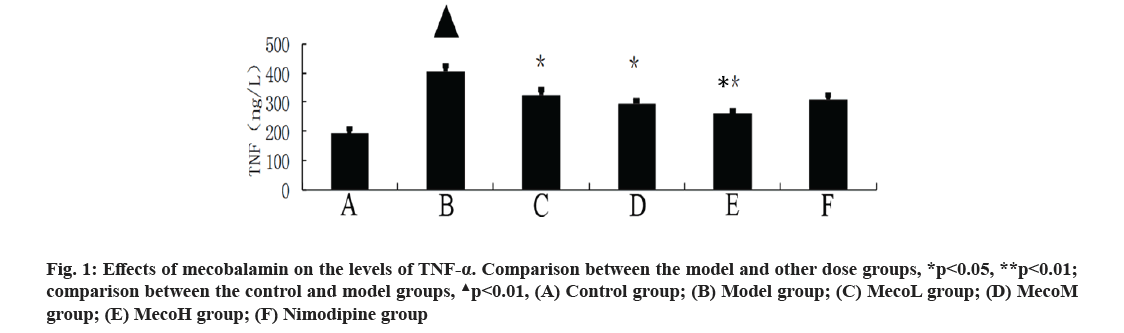 IJPS-mecobalamin