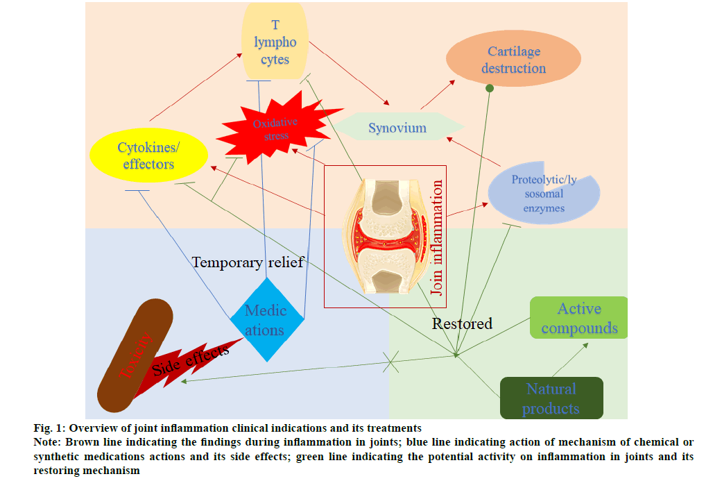 IJPS-medications