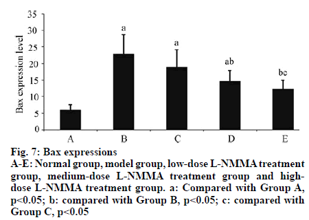 IJPS-medium-dose