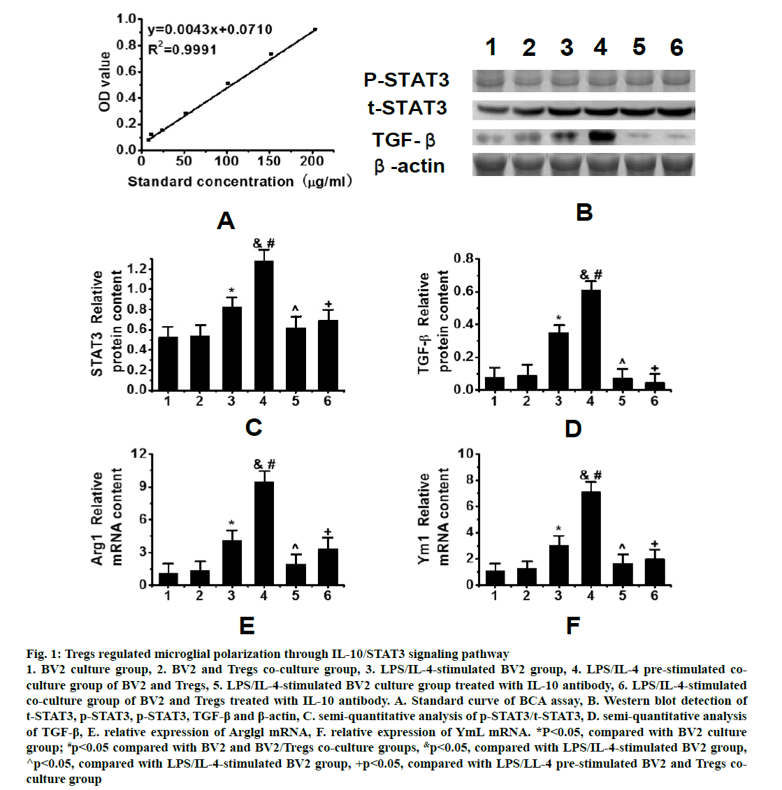 IJPS-microglial