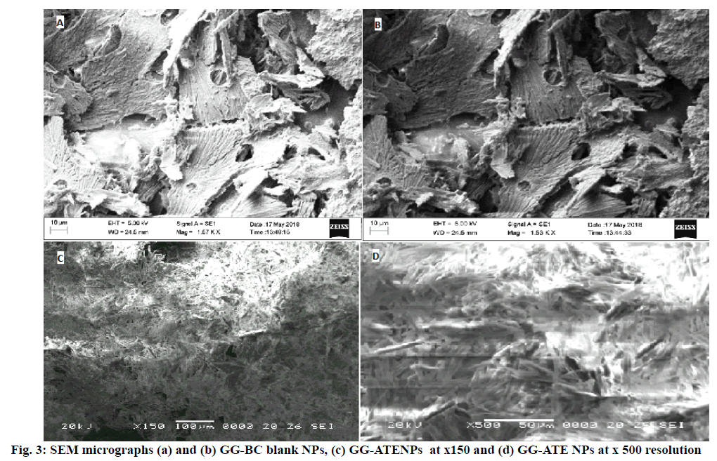 IJPS-micrographs