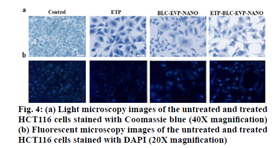 IJPS-microscopy