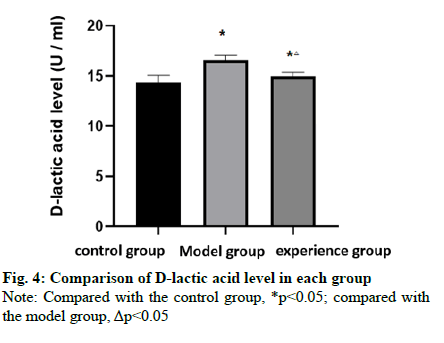 IJPS-model