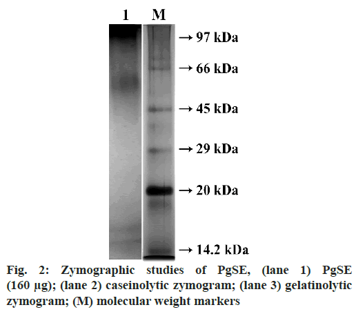 IJPS-molecular