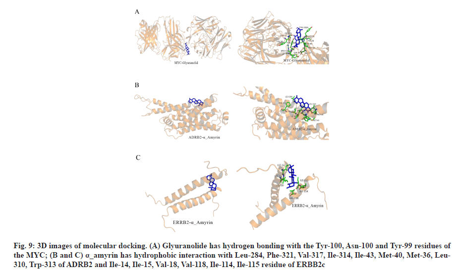 IJPS-molecular