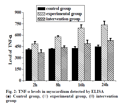 IJPS-myocardium