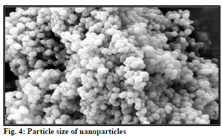 IJPS-nanoparticles