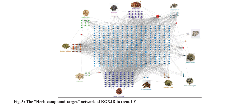 IJPS-network