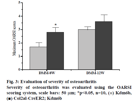 IJPS-osteoarthritis