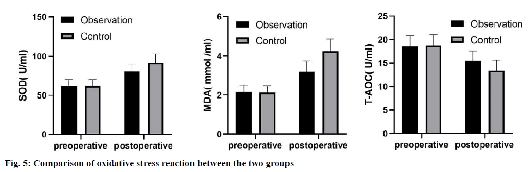 IJPS-oxidative