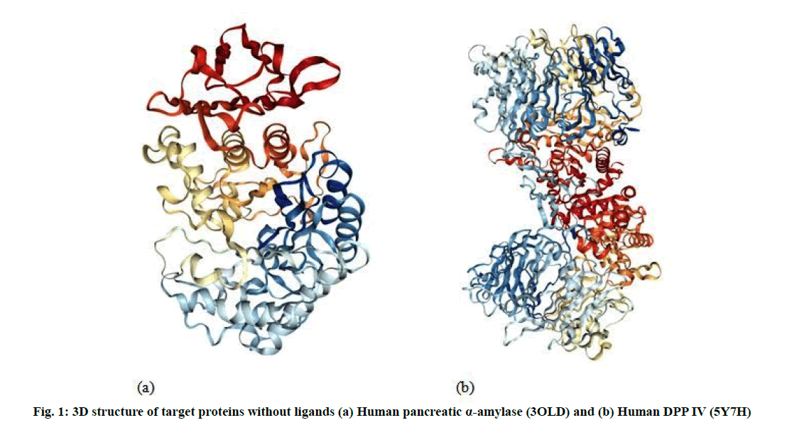 IJPS-pancreatic