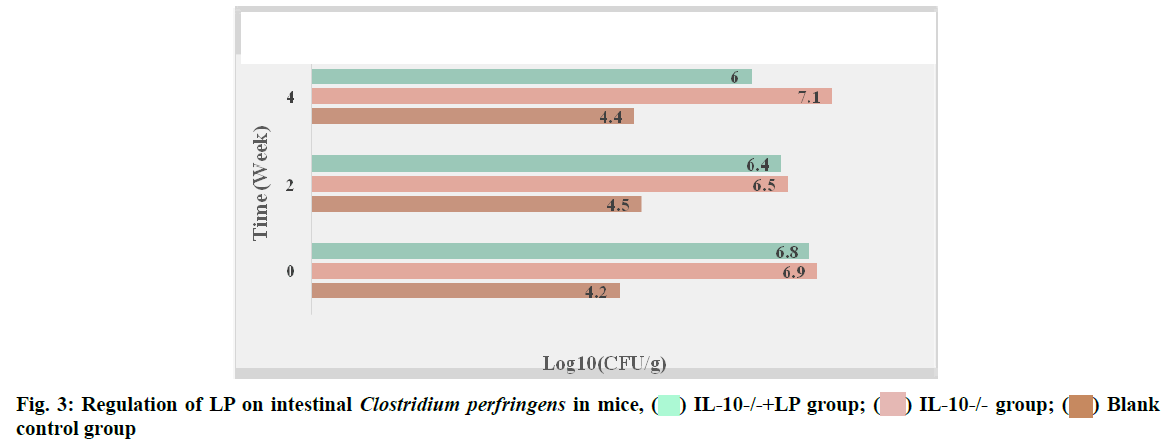 IJPS-perfringens