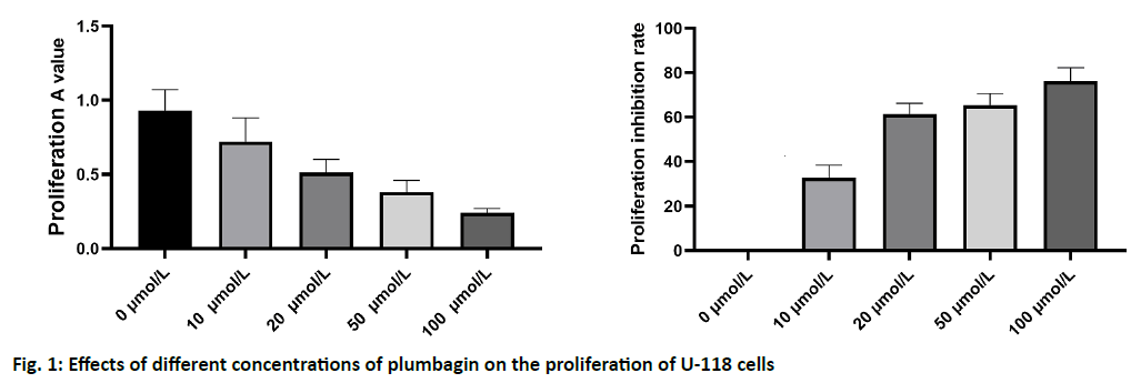 IJPS-plumbagin