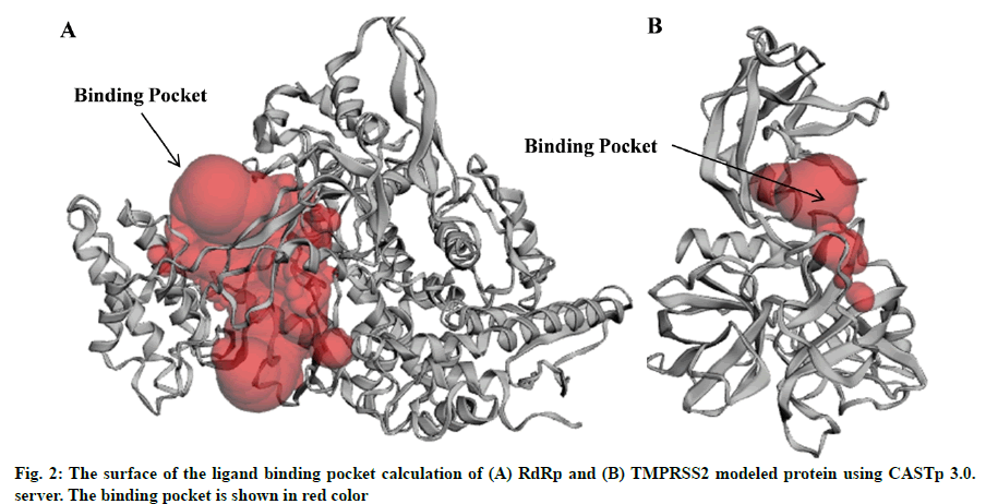 IJPS-pocket