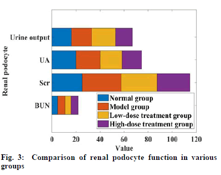 IJPS-podocyte-function