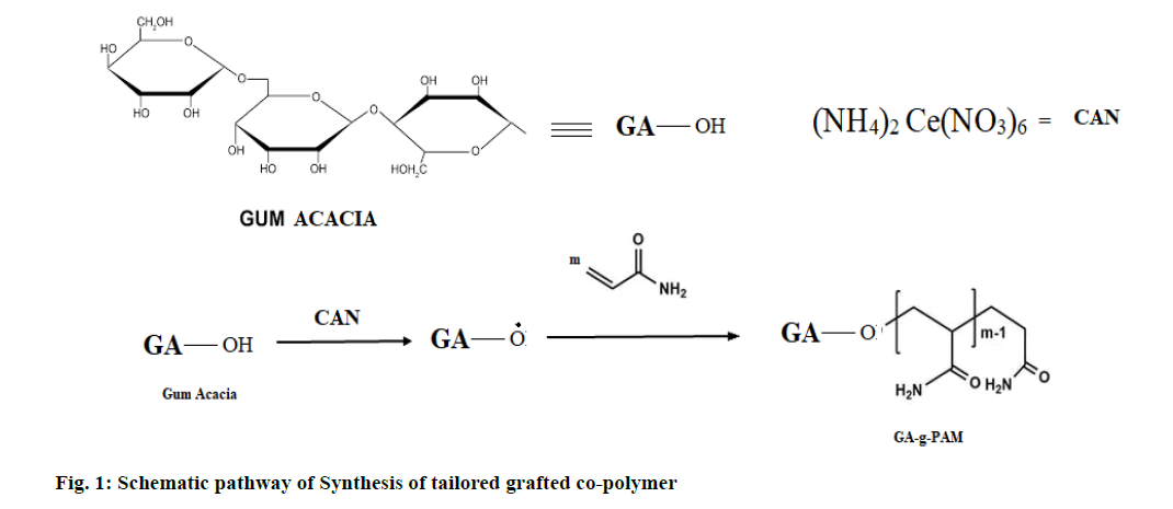 IJPS-polymer