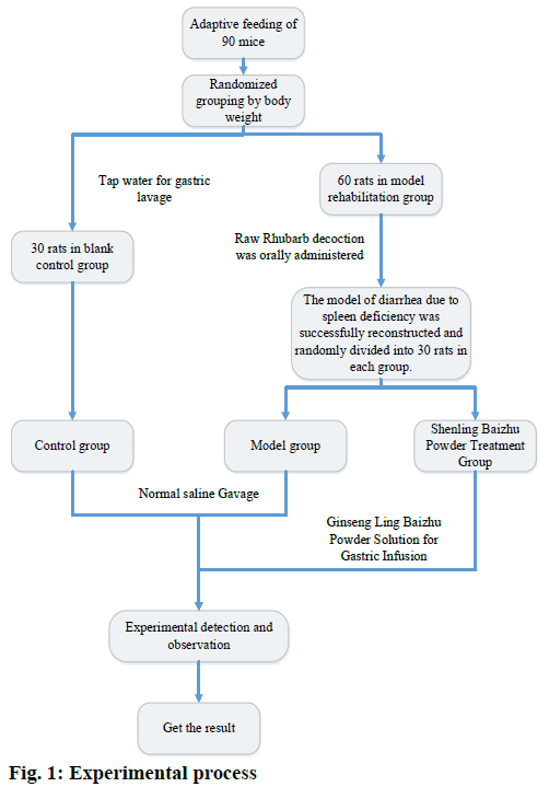 IJPS-process