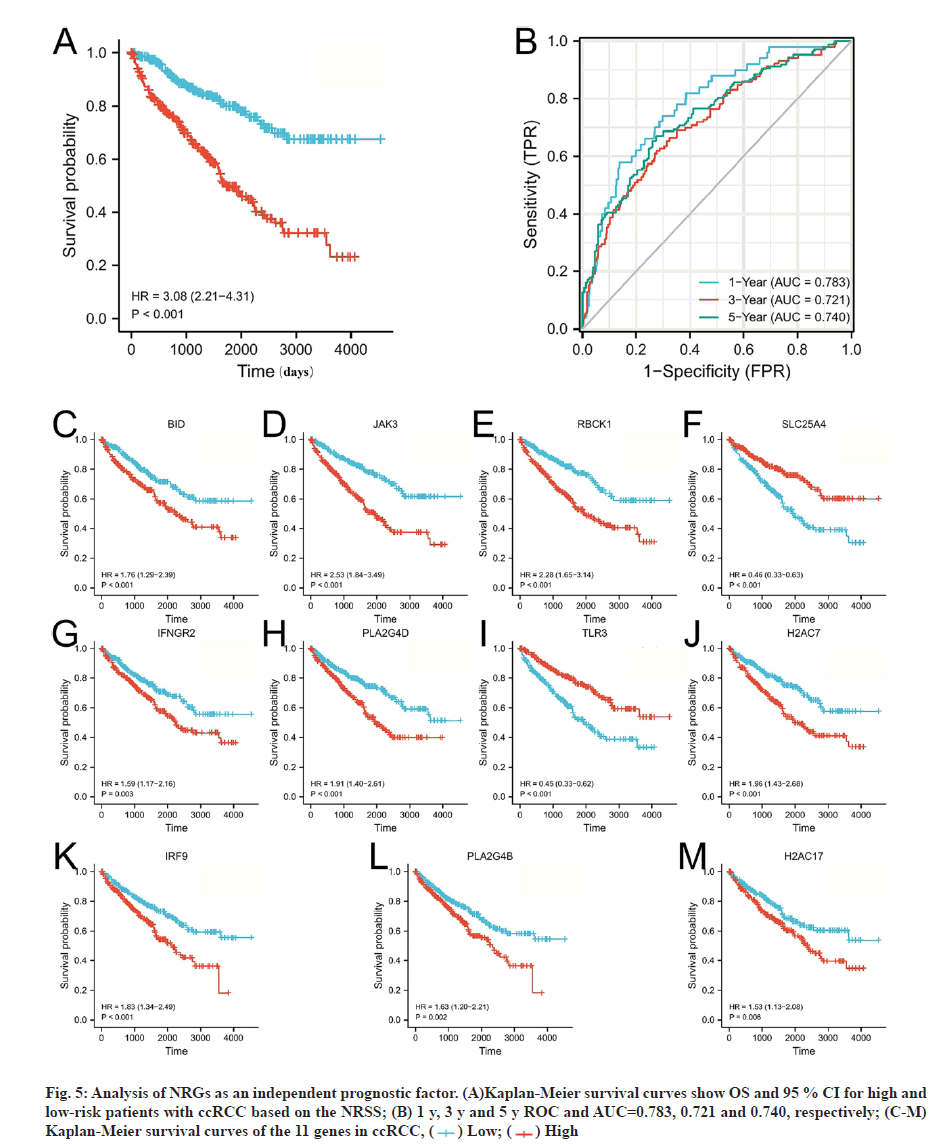 IJPS-prognostic