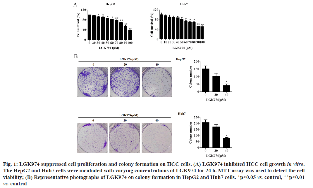 IJPS-proliferation