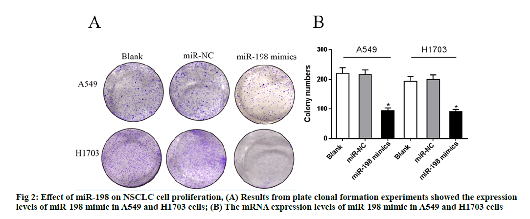 IJPS-proliferation