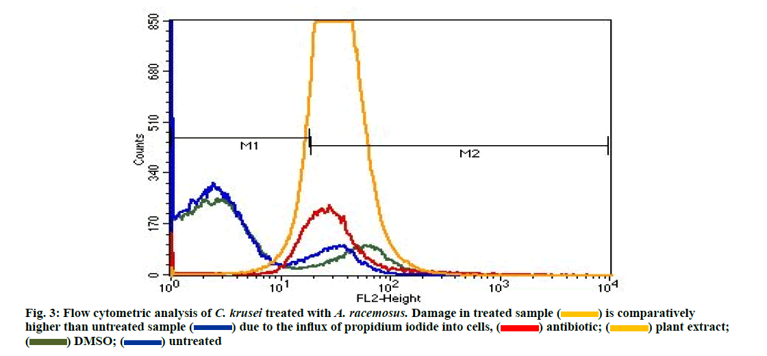 IJPS-propidium