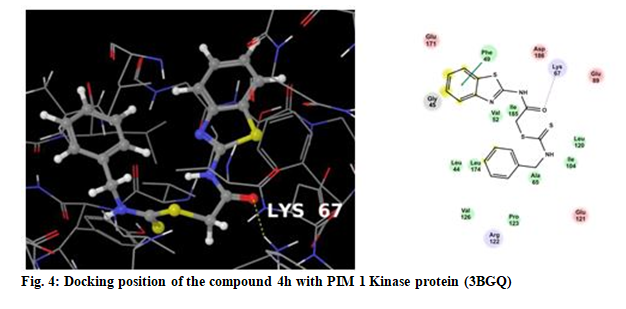 IJPS-protein