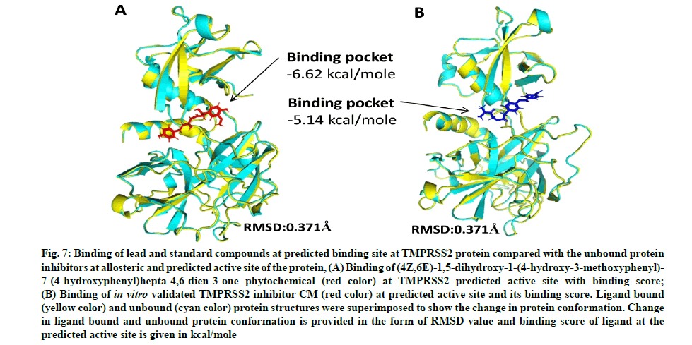 IJPS-protein