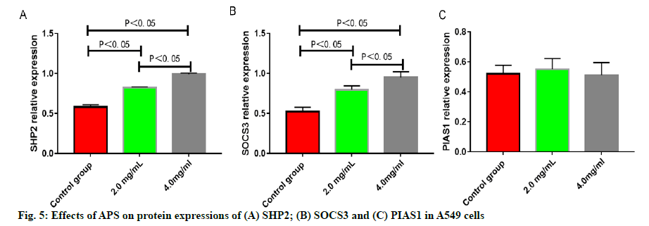 IJPS-protein