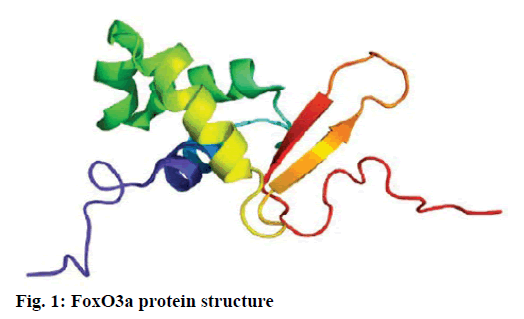 IJPS-protein