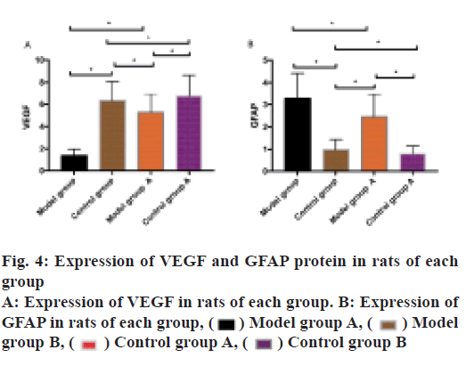 IJPS-protein