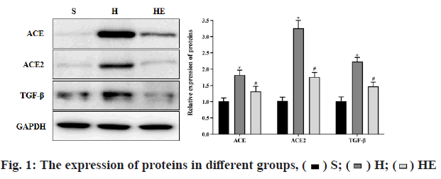 proteins