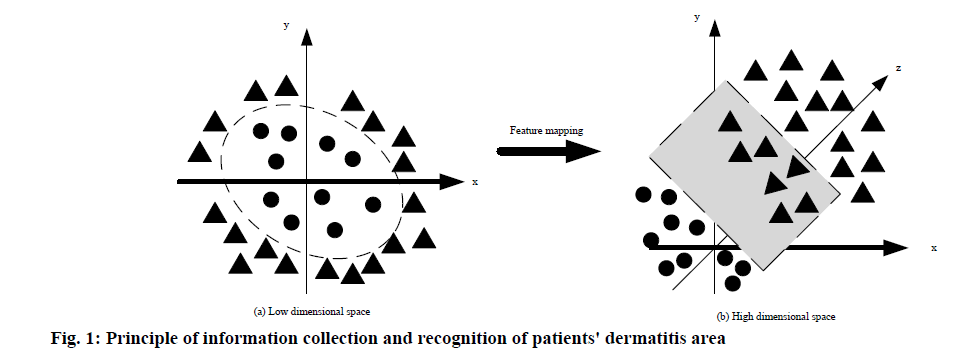 IJPS-recognition