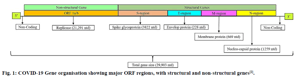 IJPS-regions